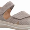 Hartjes - Wijdte G - 132 2101 - Taupe - Uitneembaar voetbed